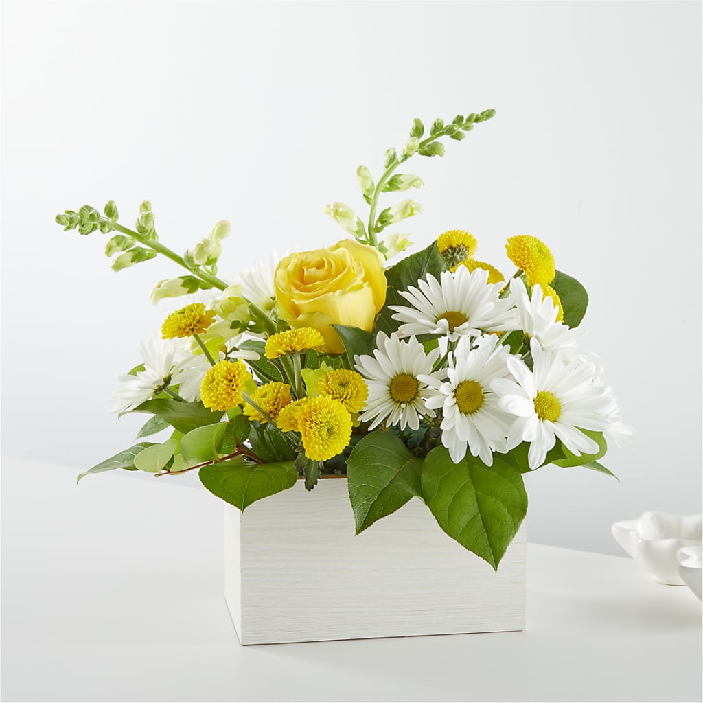 Sun Salutation Box Bouquet – Marshall Floral Llc, Marshall MO