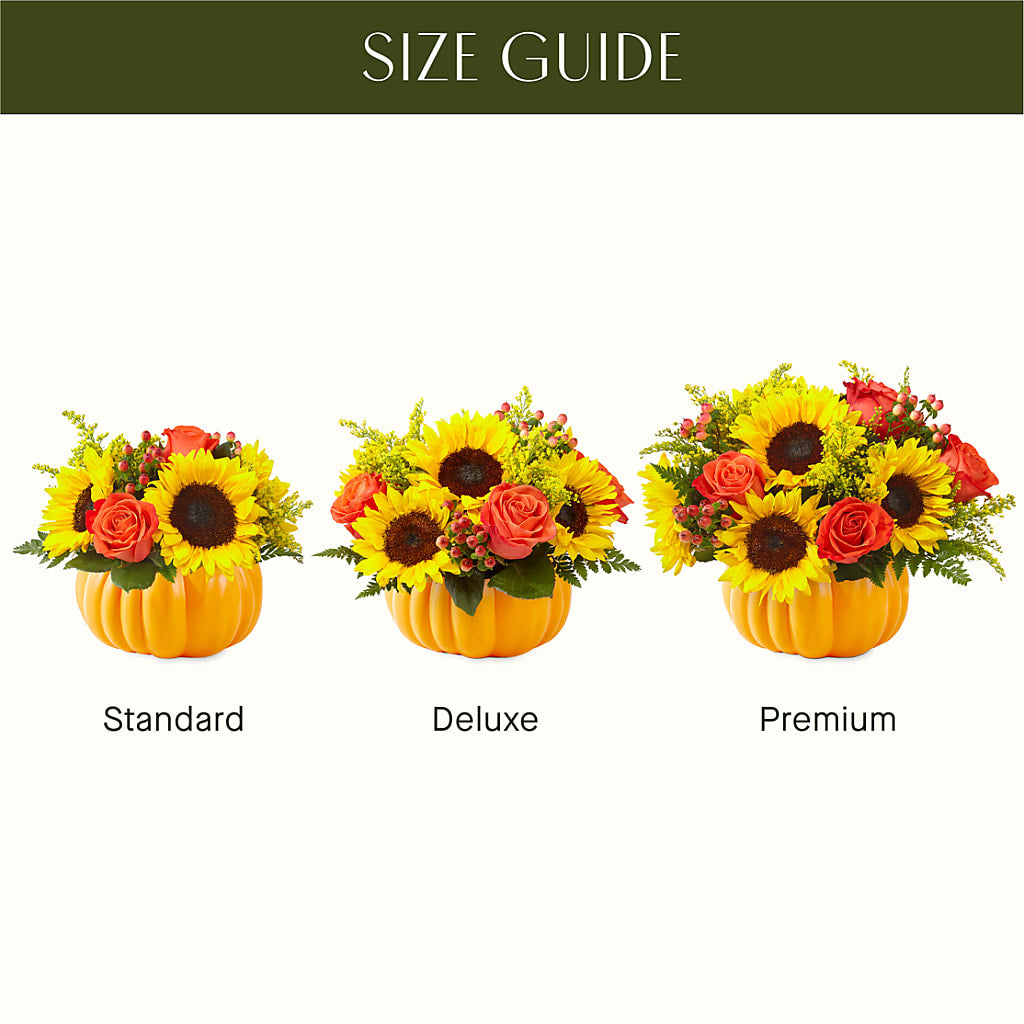 Pick of the Patch Pumpkin Bouquet – Marshall Floral Llc, Marshall MO