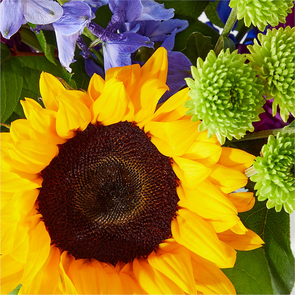 Catching Rays Bouquet – Marshall Floral Llc, Marshall MO