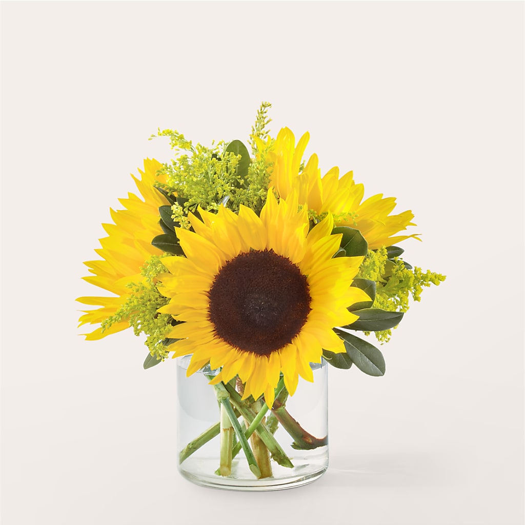 Beaming Sunflower Bouquet – Marshall Floral Llc, Marshall MO