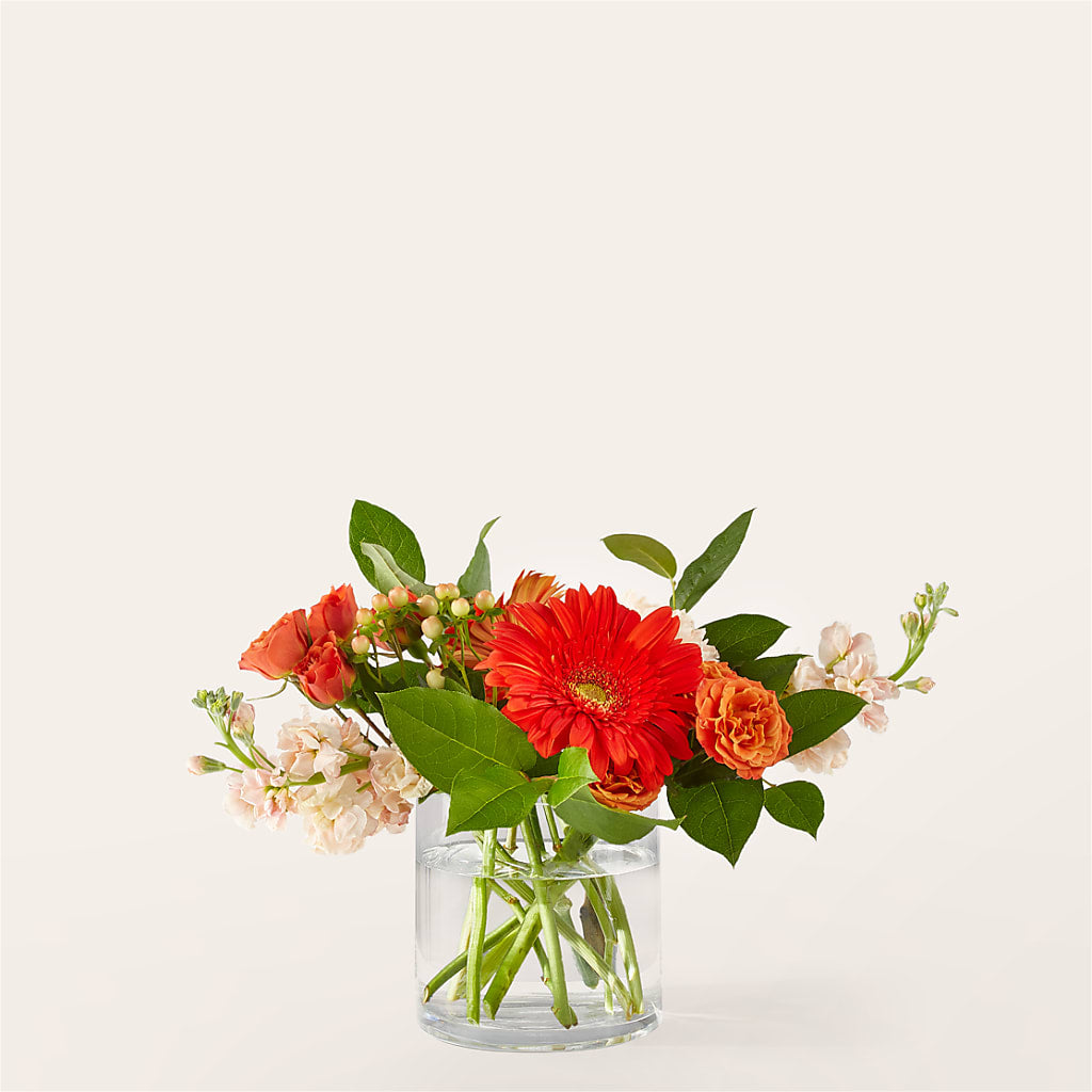 Paloma Please Bouquet – Marshall Floral Llc, Marshall MO
