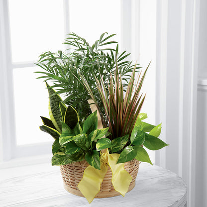 French Garden –  Marshall Floral Llc, Marshall MO