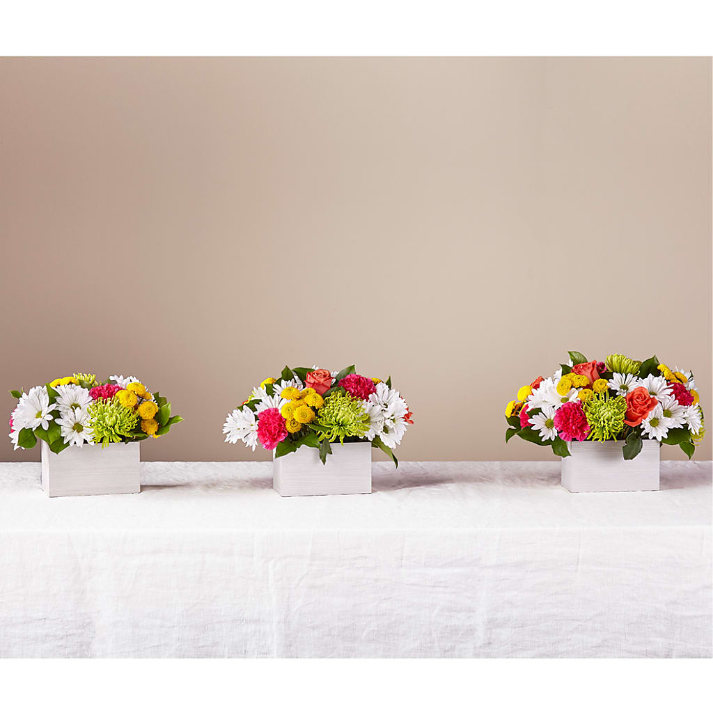 Sorbet Bouquet –  Marshall Floral Llc, Marshall MO