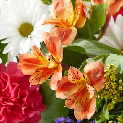 Oopsie Daisy Box Bouquet –  Marshall Floral Llc, Marshall MO