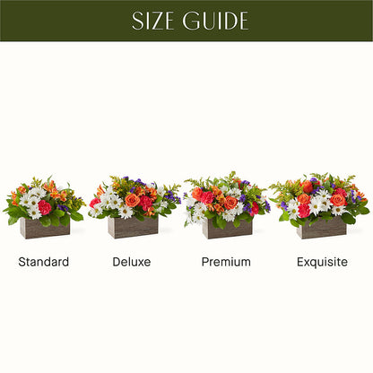 Oopsie Daisy Box Bouquet –  Marshall Floral Llc, Marshall MO