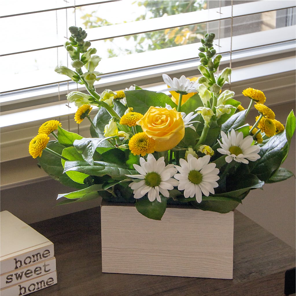 Sun Salutation Box Bouquet –  Marshall Floral Llc, Marshall MO