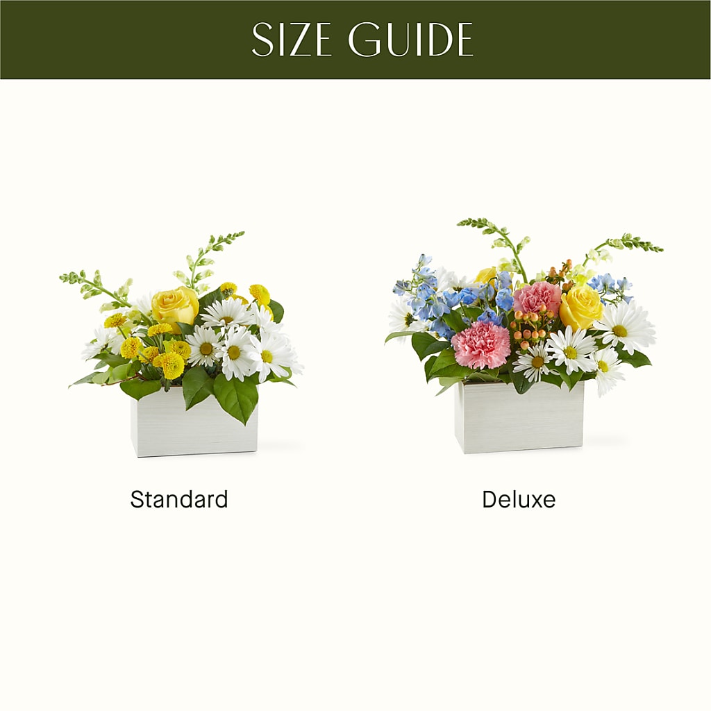 Sun Salutation Box Bouquet –  Marshall Floral Llc, Marshall MO