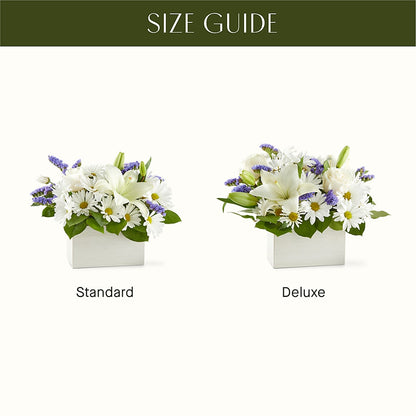 Beyond Blue Box Bouquet –  Marshall Floral Llc, Marshall MO