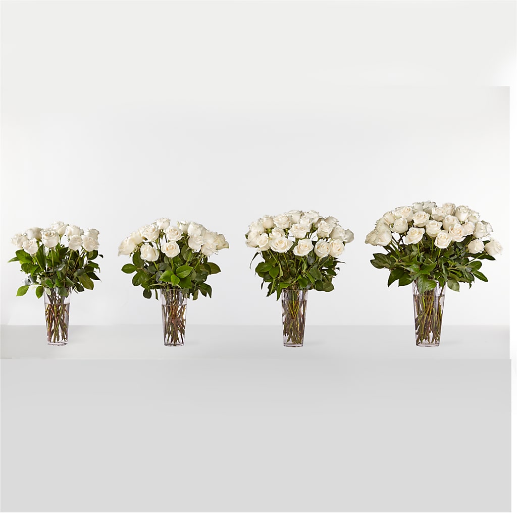 Long Stem White Rose Bouquet –  Marshall Floral Llc, Marshall MO