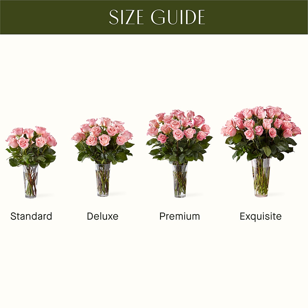Long Stem Pink Rose Bouquet –  Marshall Floral Llc, Marshall MO