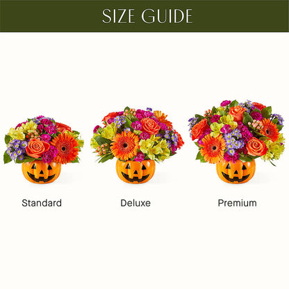 Tricks & Treats Pumpkin –  Marshall Floral Llc, Marshall MO