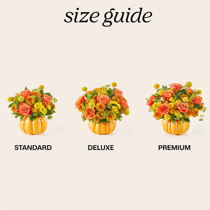 Gourdgeous Pumpkin –  Marshall Floral Llc, Marshall MO