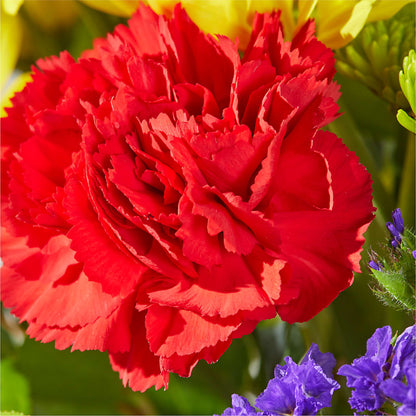 Brighter Days Bouquet –  Marshall Floral Llc, Marshall MO
