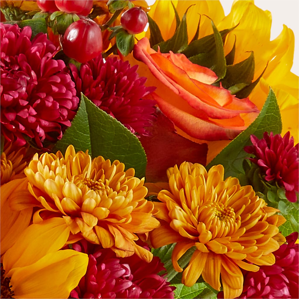 Sweater Season - A Florist Original –  Marshall Floral Llc, Marshall MO