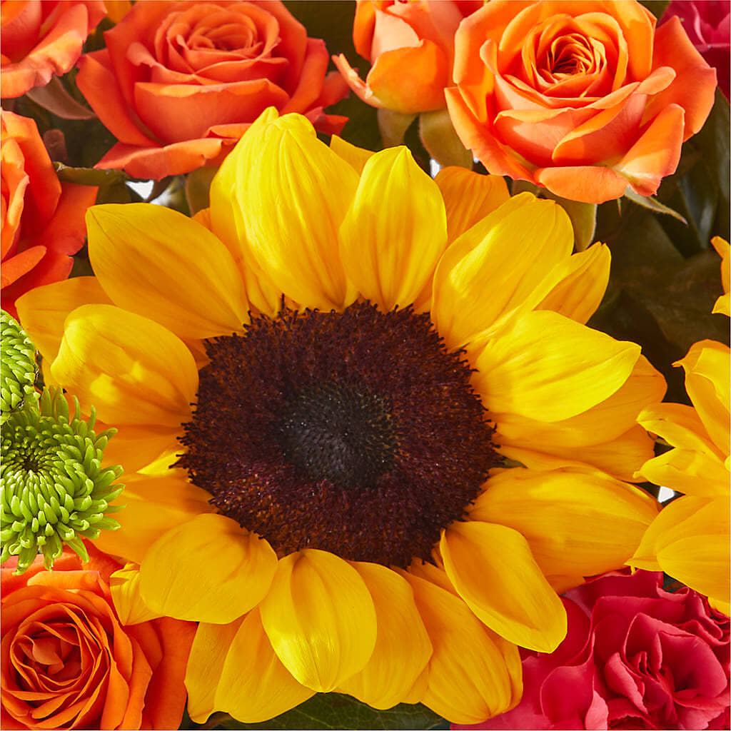 Sun-drenched Blooms Box Bouquet –  Marshall Floral Llc, Marshall MO