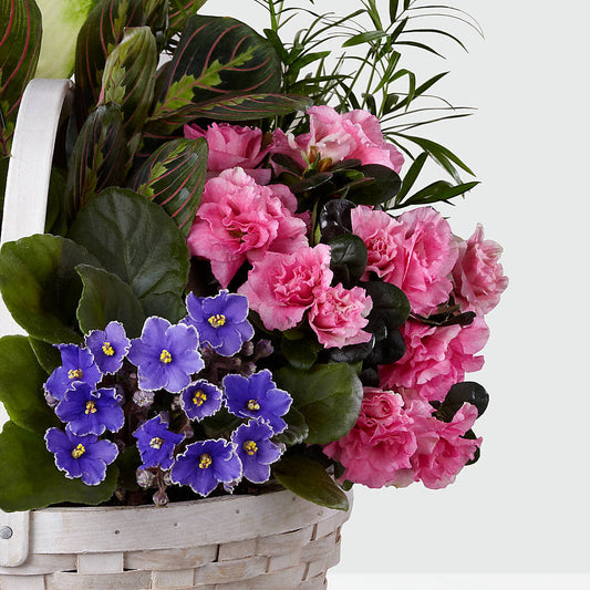 Peaceful Garden Planter –  Marshall Floral Llc, Marshall MO