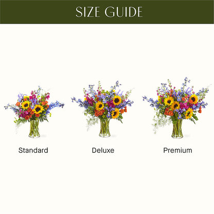 Rays of Life Bouquet –  Marshall Floral Llc, Marshall MO