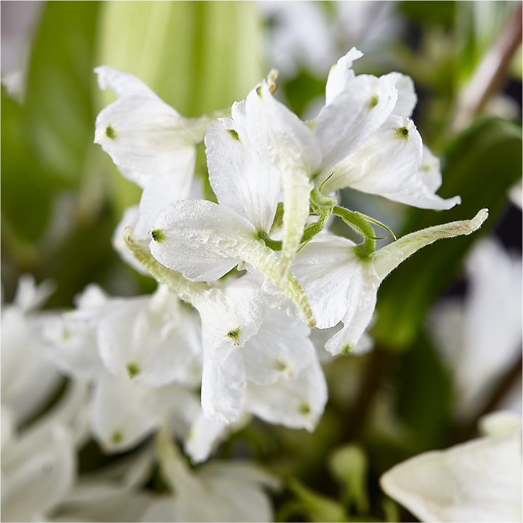 Classic Ivory – A Florist Original –  Marshall Floral Llc, Marshall MO