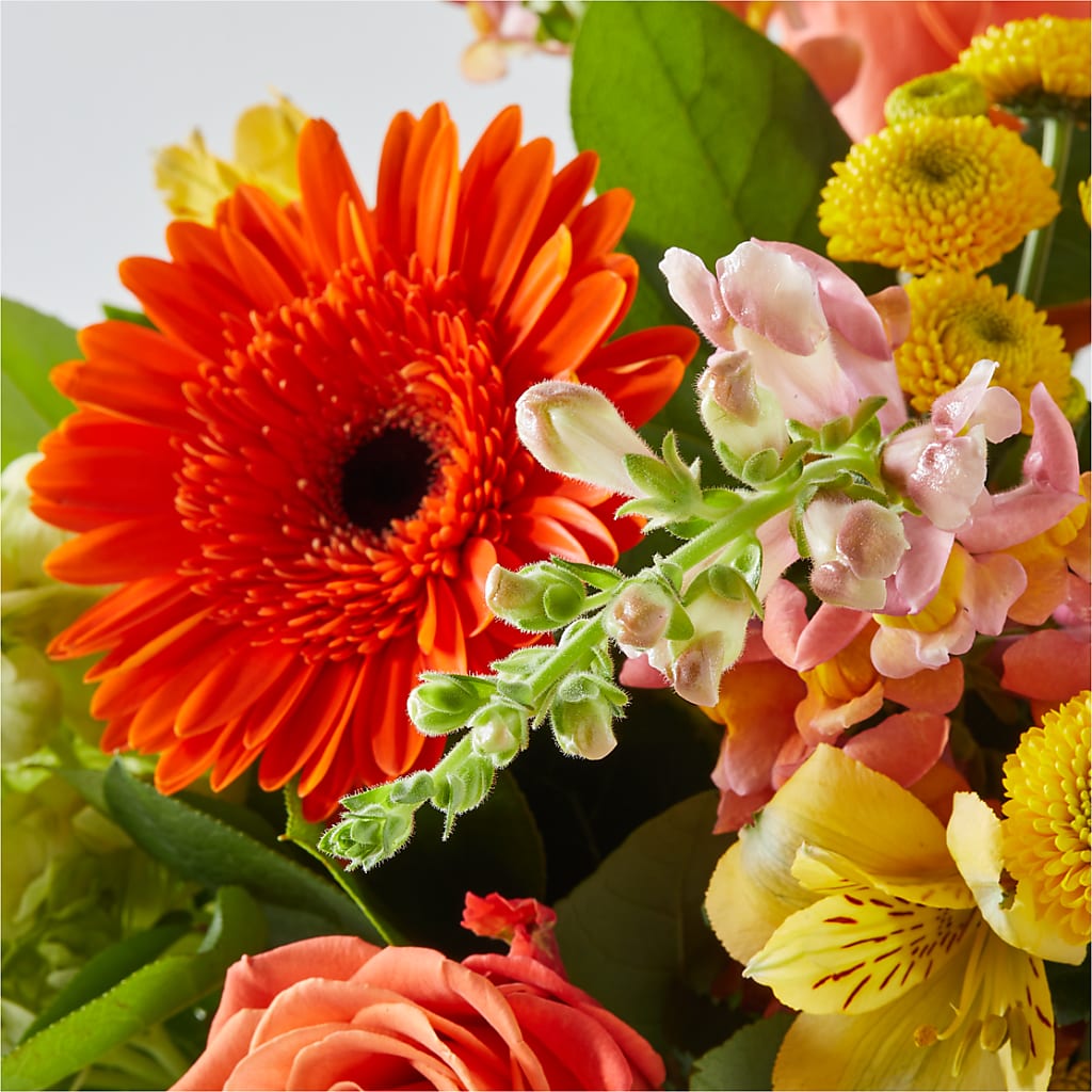 Autumn Sunshine Bouquet –  Marshall Floral Llc, Marshall MO