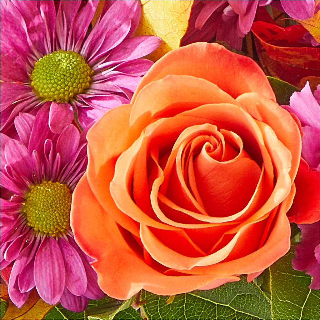 Mum's the Word Bouquet –  Marshall Floral Llc, Marshall MO