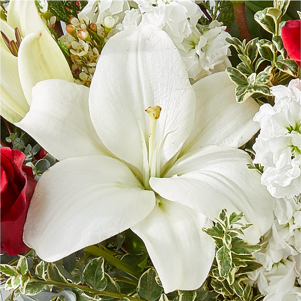 Twinkle Lights Bouquet –  Marshall Floral Llc, Marshall MO