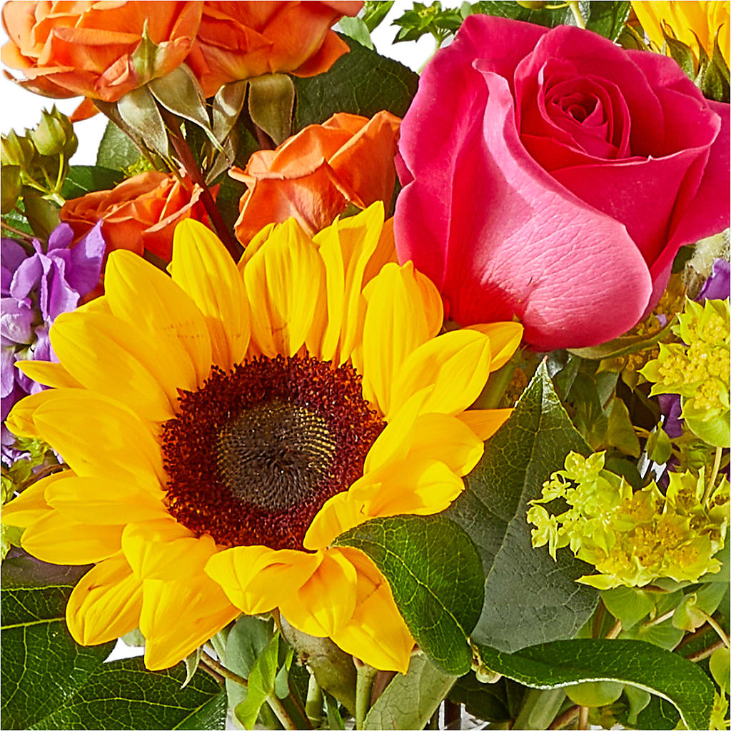 Vibrant Greetings Bouquet –  Marshall Floral Llc, Marshall MO