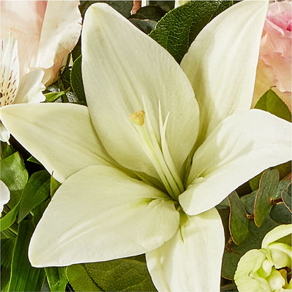 Ballet Slippers Bouquet –  Marshall Floral Llc, Marshall MO