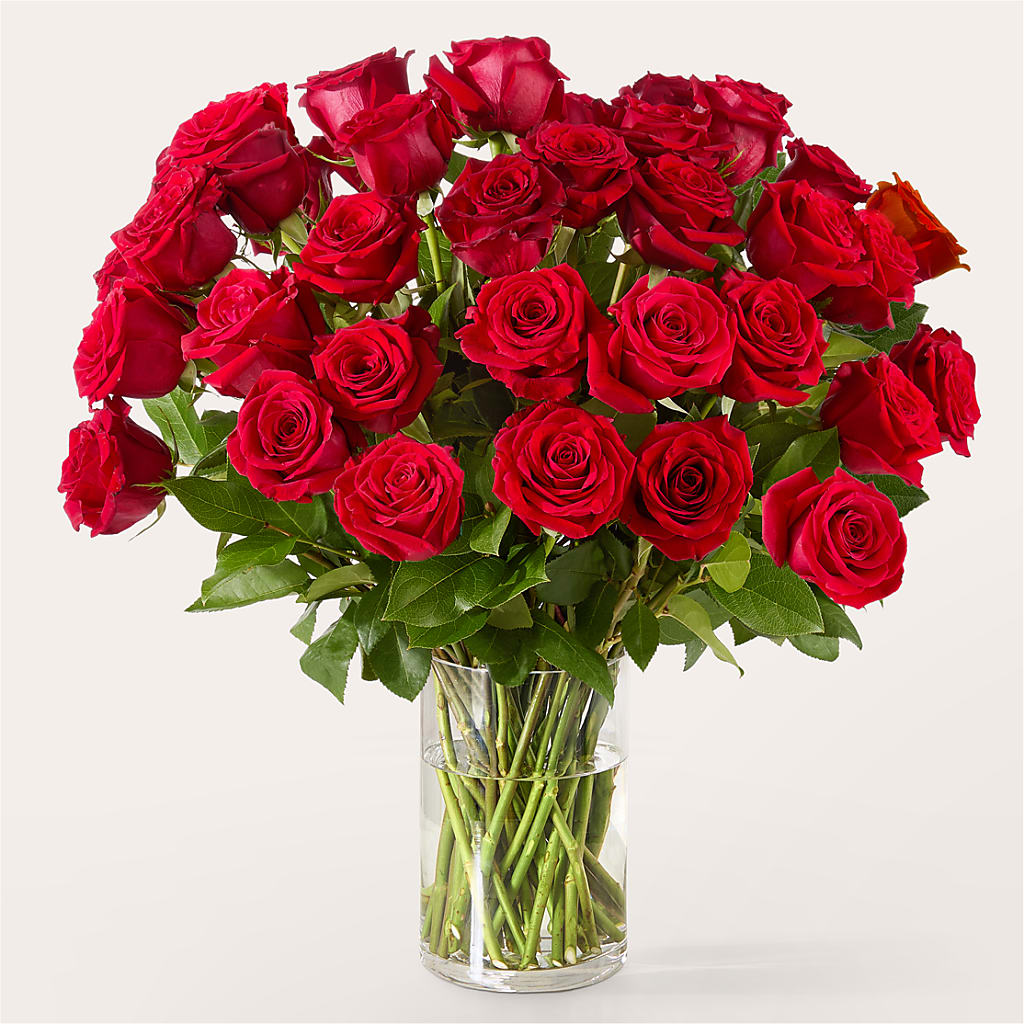 The One Red Rose Bouquet –  Marshall Floral Llc, Marshall MO