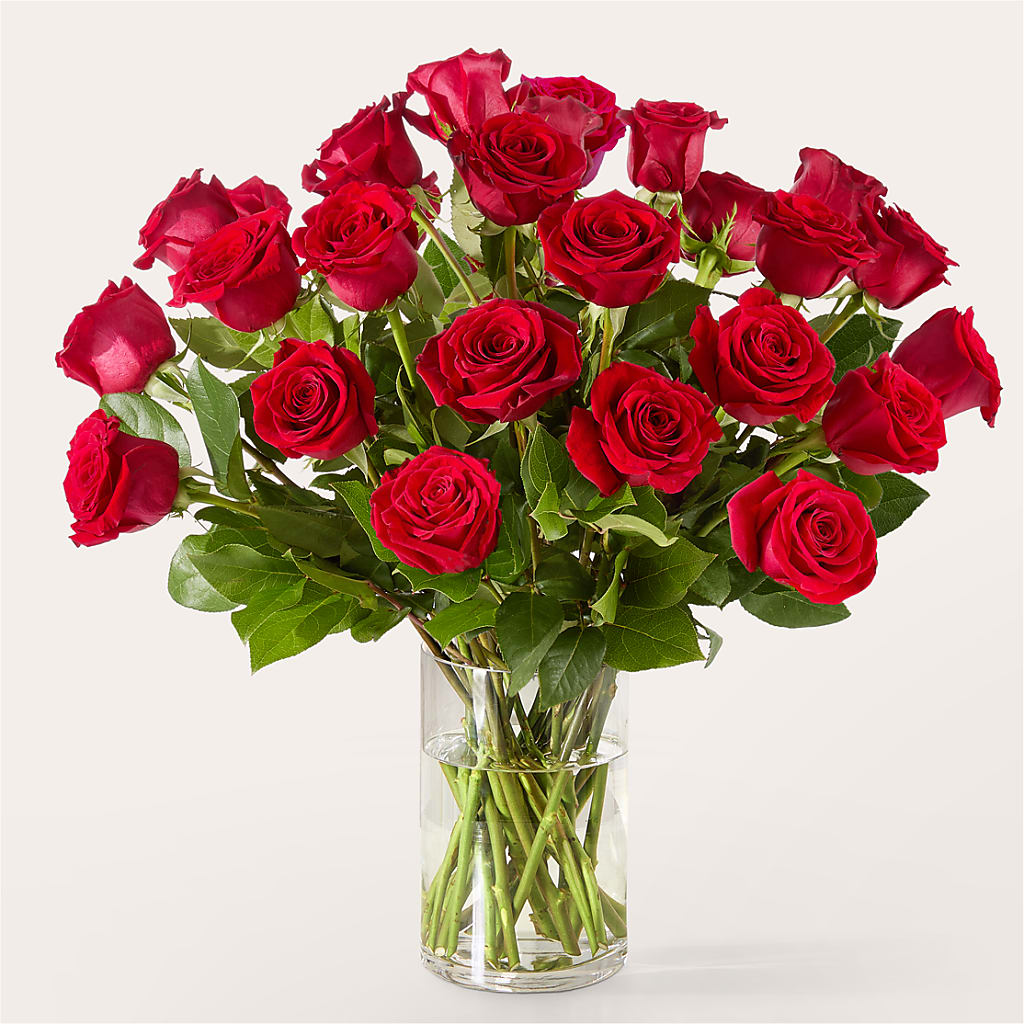 The One Red Rose Bouquet –  Marshall Floral Llc, Marshall MO