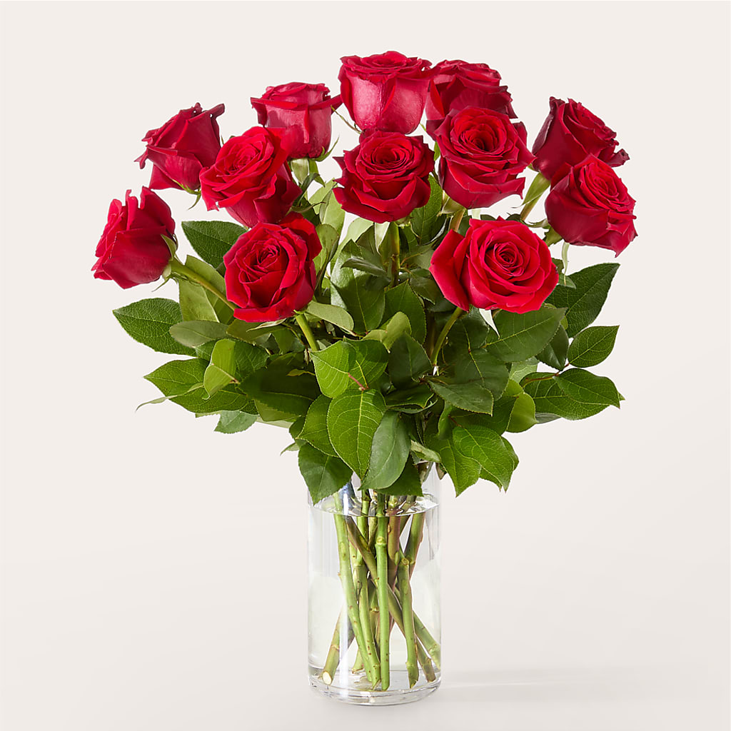 The One Red Rose Bouquet –  Marshall Floral Llc, Marshall MO